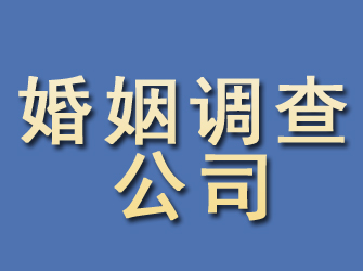 阳山婚姻调查公司